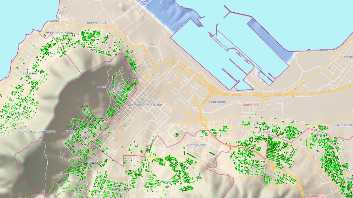mapa hiria Cape Town wards